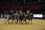 Quadrille - 00701